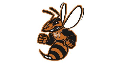 article image - Waynesburg University logo